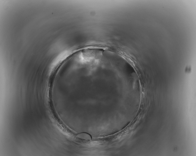 X0000093740149200710231218