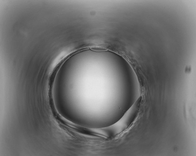 X0000093740150200710231218