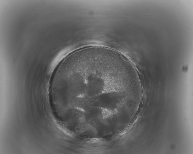 X0000093740151200710231218