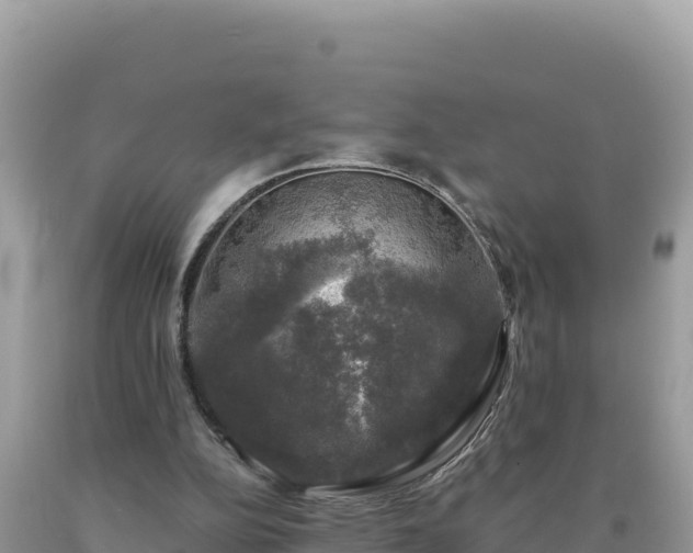 X0000093740152200710231218