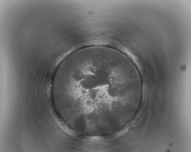 X0000093740153200710231218