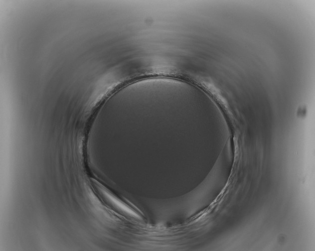 X0000093740154200710231218