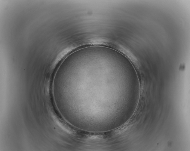 X0000093740155200710231218