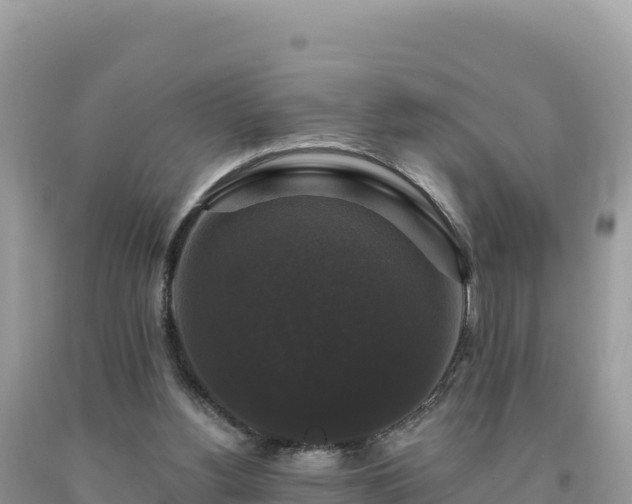 X0000093740156200710231218