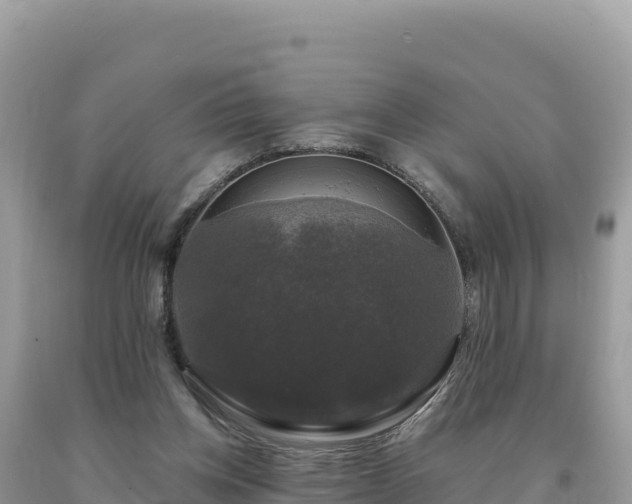 X0000093740158200710231218