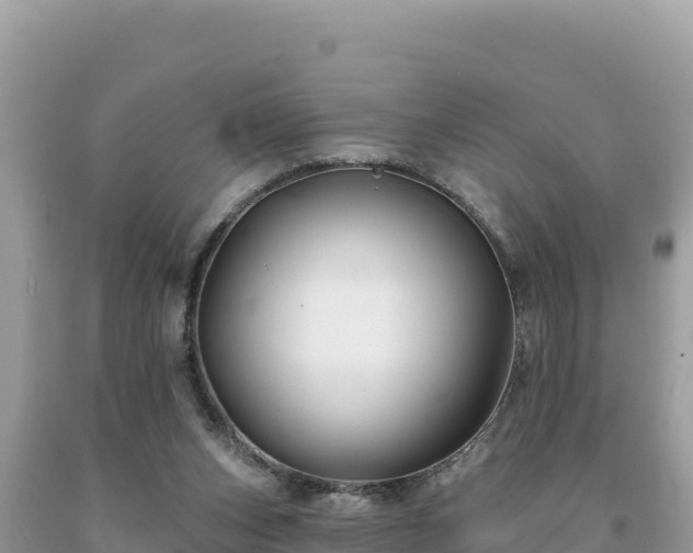 X0000093740159200710231218