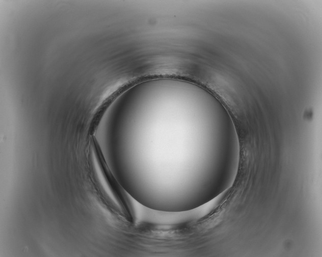 X0000093740160200710231218