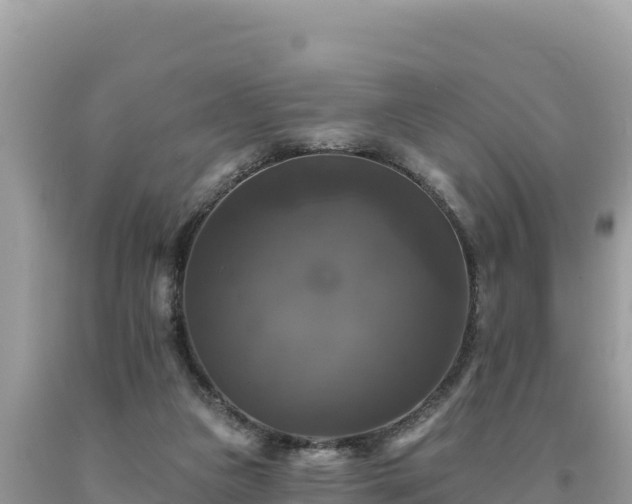 X0000093740161200710231218