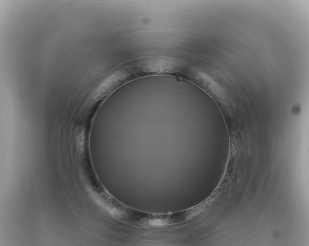 X0000093740163200710231218