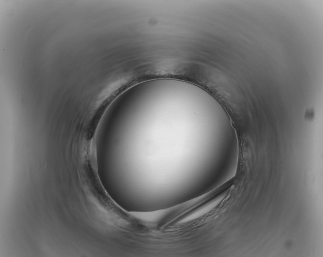 X0000093740164200710231218