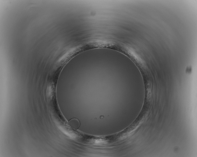 X0000093740165200710231218