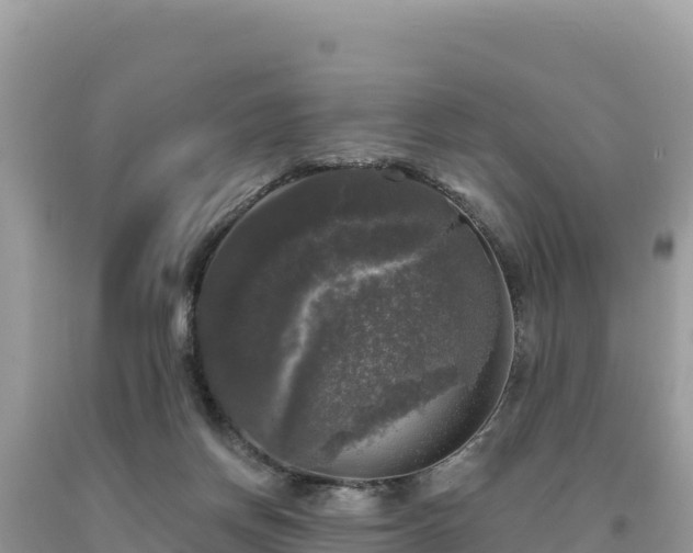 X0000093740166200710231218