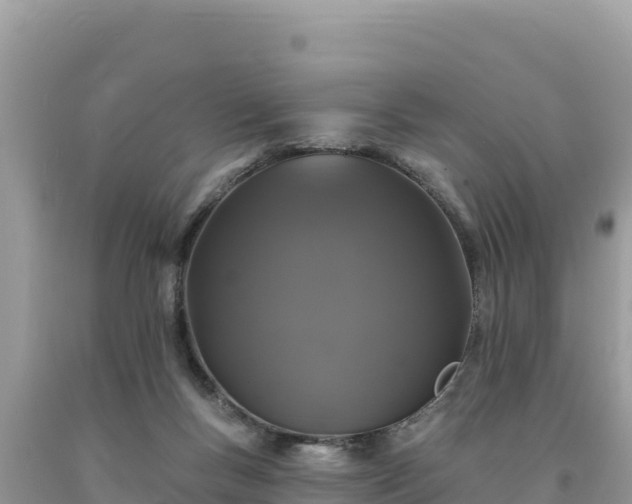 X0000093740167200710231218