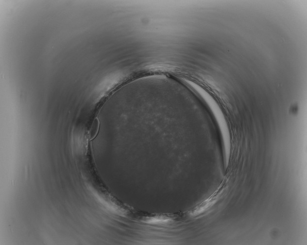 X0000093740168200710231219