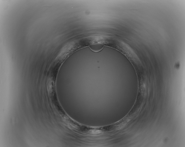 X0000093740169200710231219