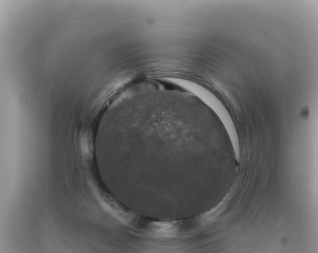 X0000093740170200710231219