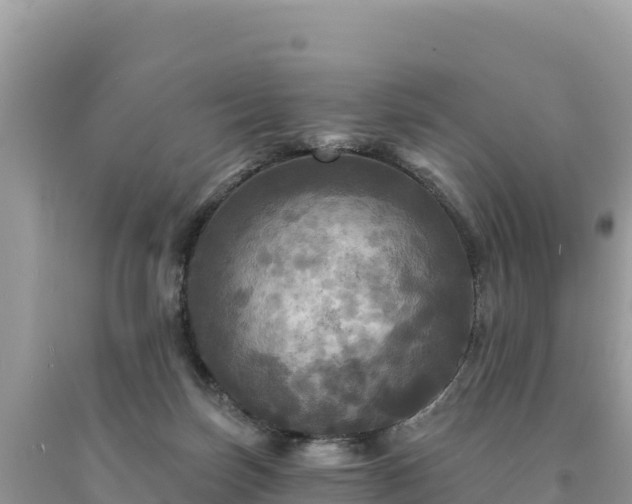 X0000093740171200710231219