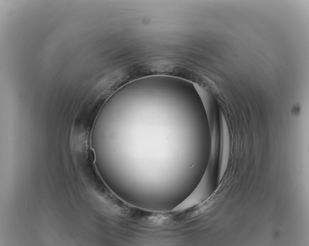 X0000093740172200710231219