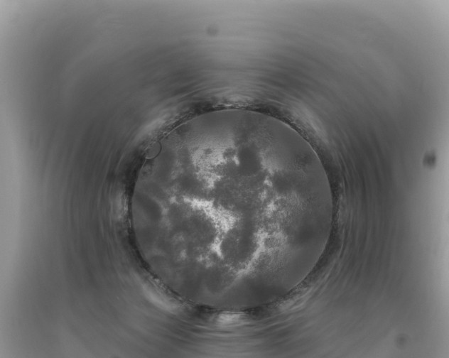 X0000093740173200710231219