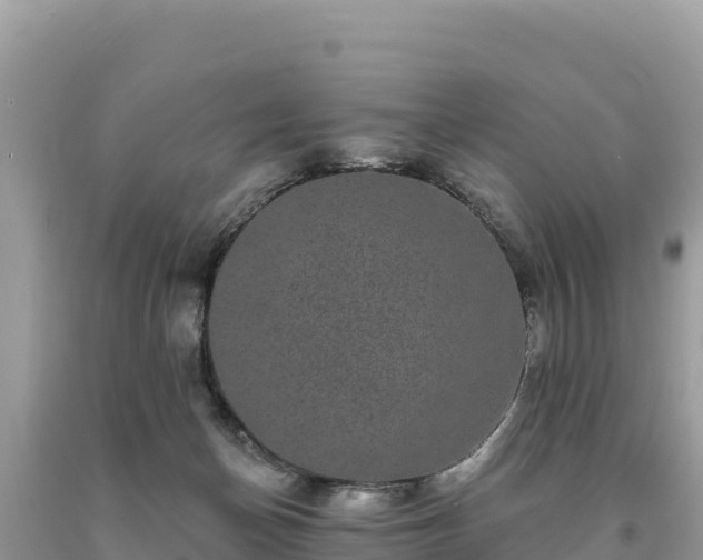 X0000093740174200710231219