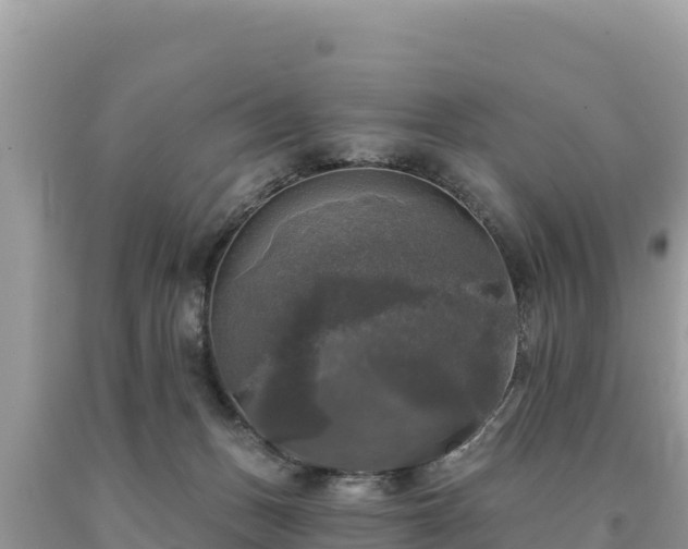 X0000093740175200710231219