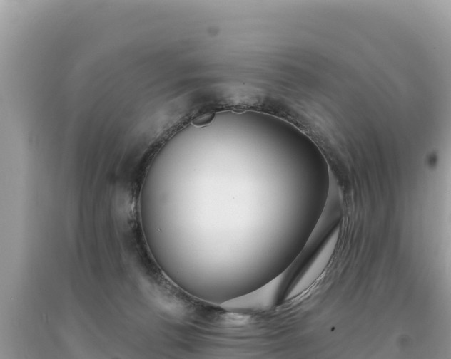 X0000093740176200710231219