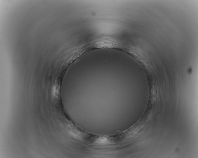 X0000093740177200710231219