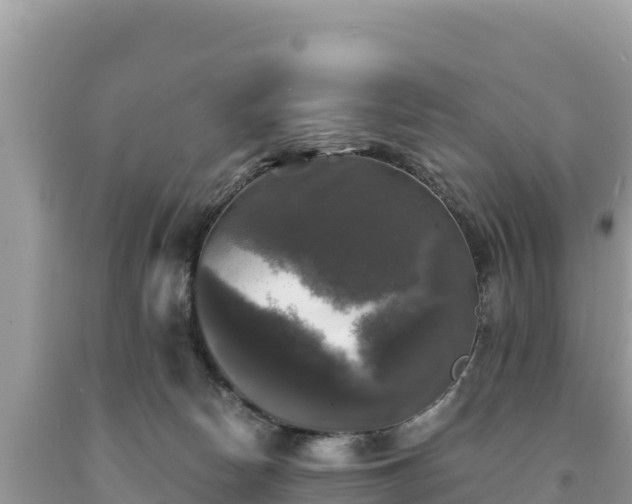 X0000093740178200710231219