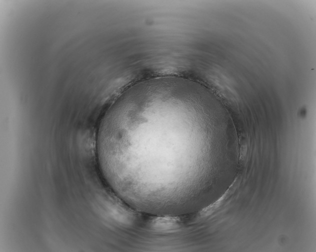 X0000093740179200710231219