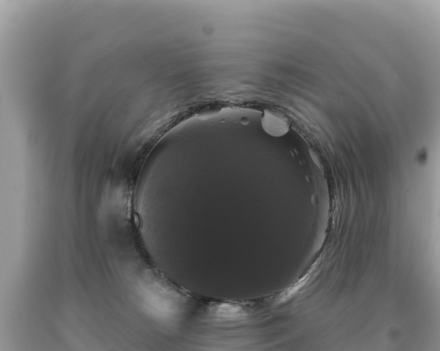 X0000093740180200710231219