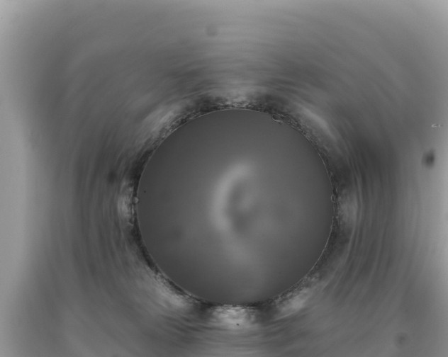 X0000093740181200710231219