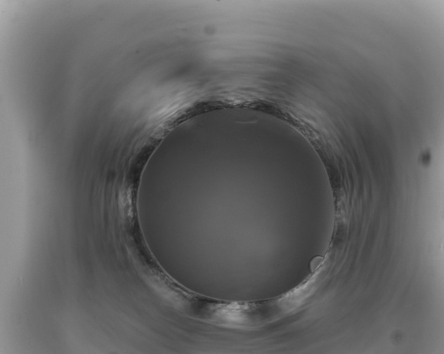 X0000093740182200710231219