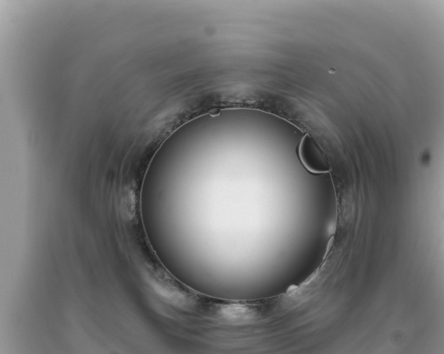 X0000093740183200710231219