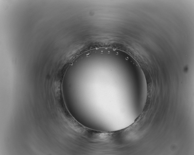 X0000093740184200710231219