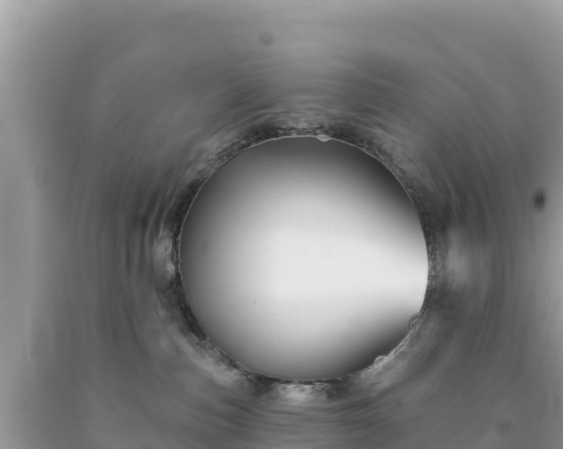 X0000093740187200710231219