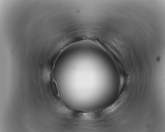 X0000093740188200710231219