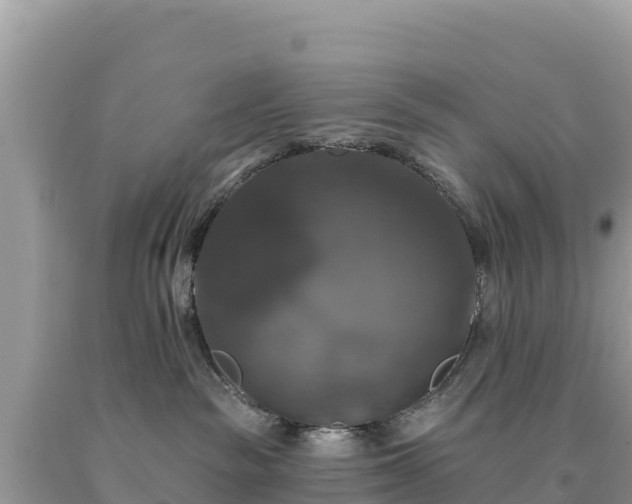 X0000093740189200710231219