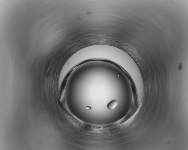 X0000093740190200710231219