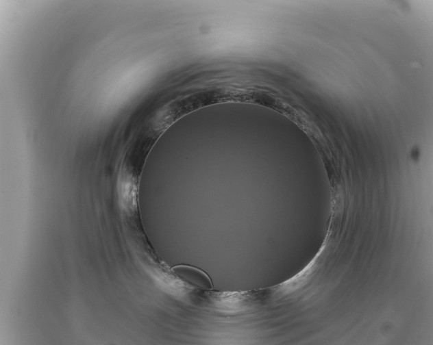 X0000093740191200710231219