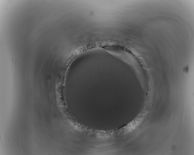 X0000093740192200710231219