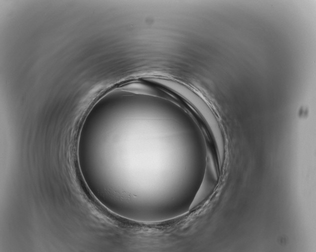 X0000093740193200710231218