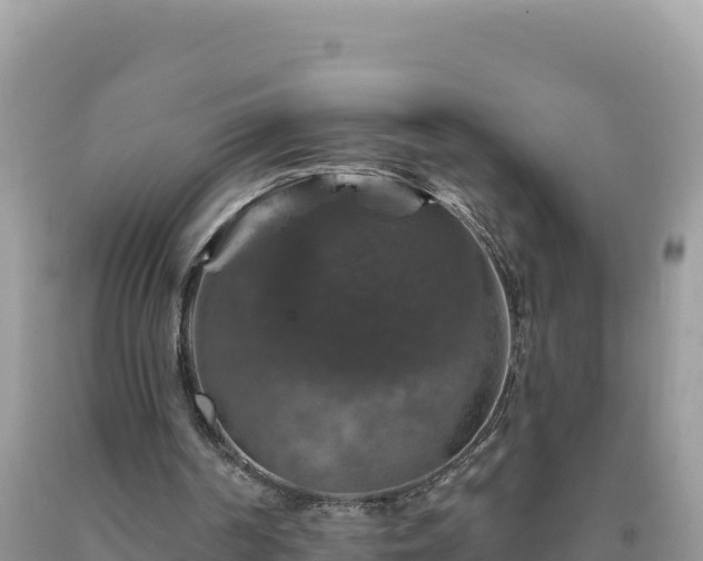 X0000093740194200710231218