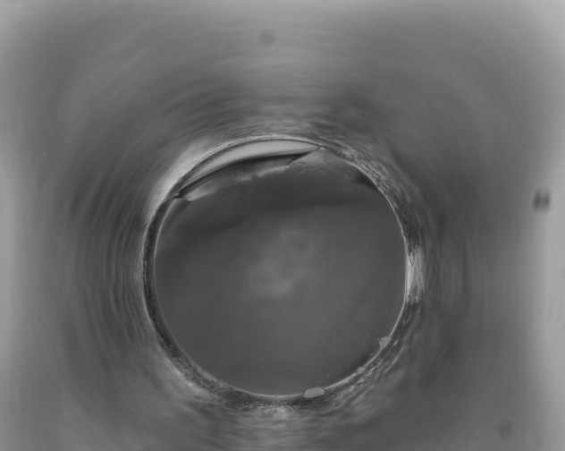 X0000093740195200710231218