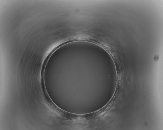 X0000093740196200710231218