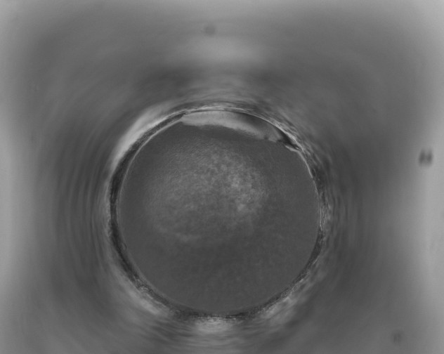 X0000093740198200710231218