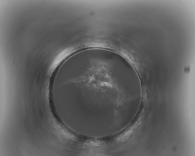 X0000093740199200710231218