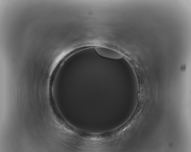 X0000093740200200710231218