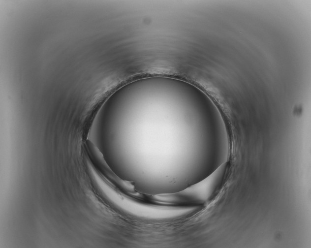 X0000093740201200710231218