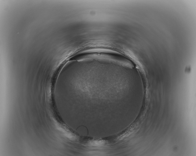 X0000093740202200710231218