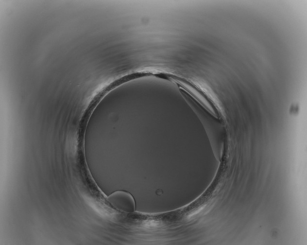 X0000093740204200710231218